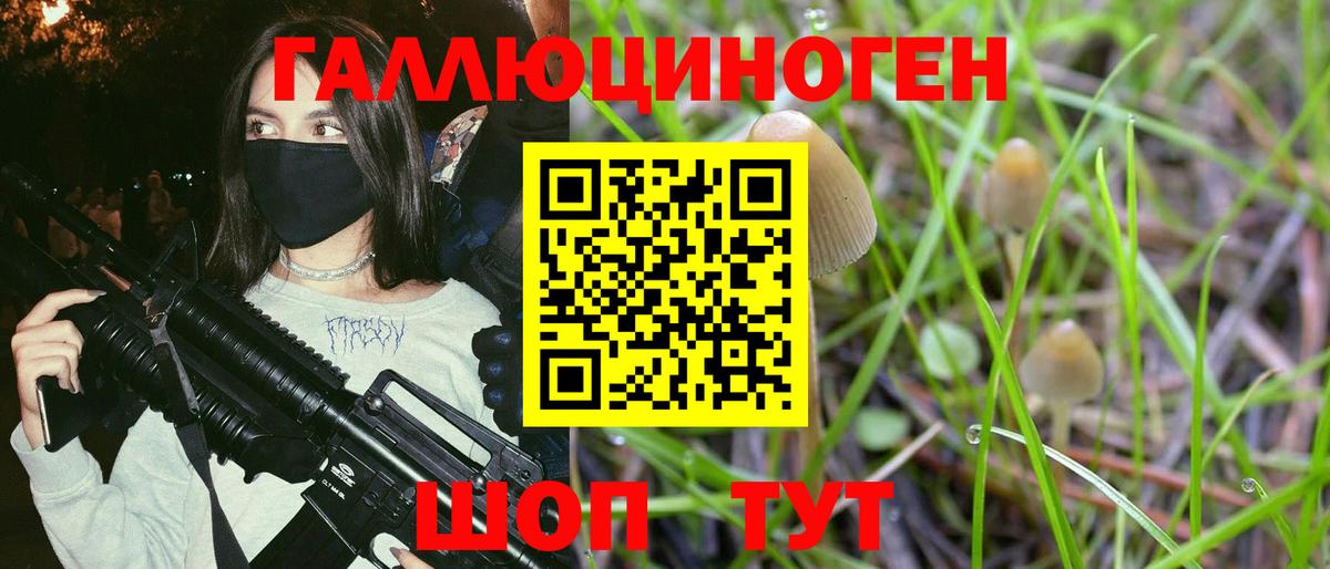 Псилоцибиновые грибы Psilocybine cubensis Красноярск