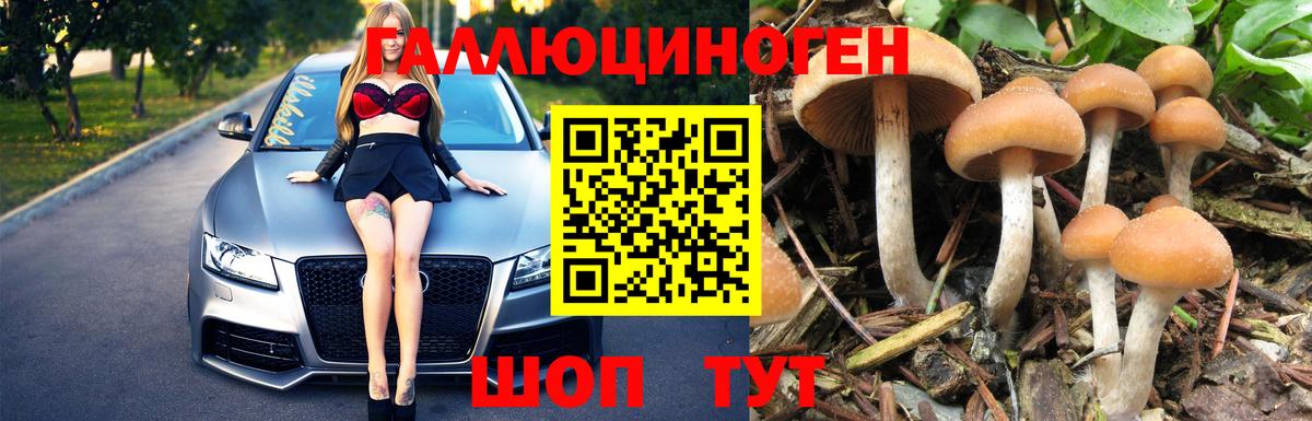 Галлюциногенные грибы прущие грибы  Вход с VPN  Красноярск 